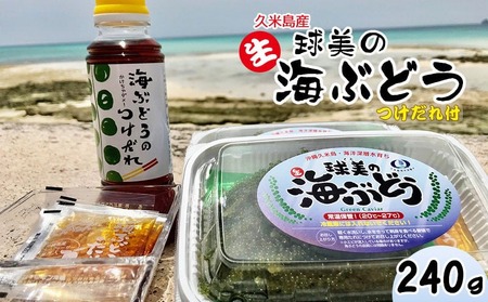 海ぶどう 球美の”生”海ぶどう（80g×3個+つけだれ）