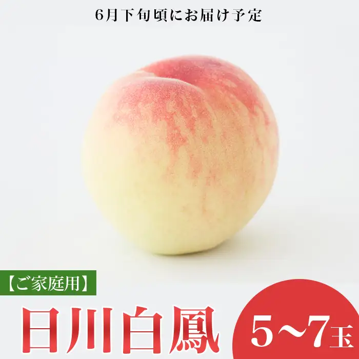 【ご家庭用】岡山の桃 日川白鳳 5～7玉【2026年6月下旬頃から順次発送】