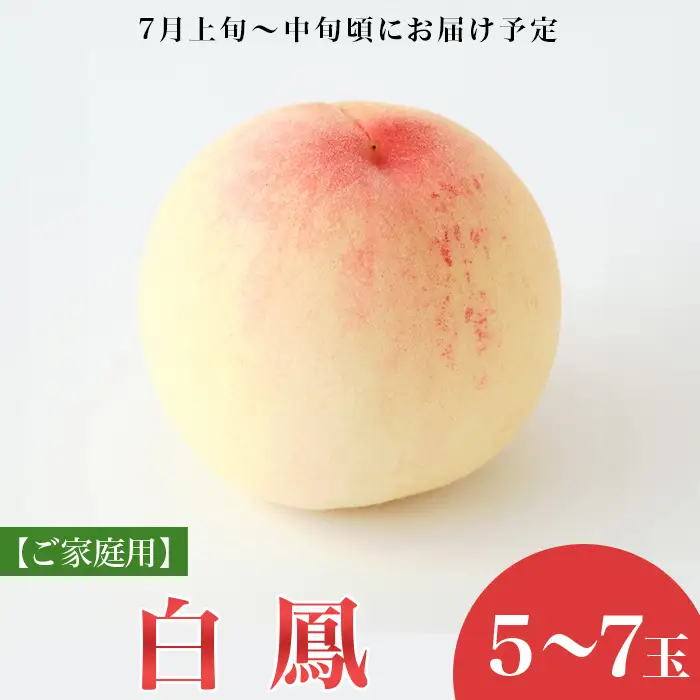 【ご家庭用】岡山白桃 白鳳 5～7玉【2026年7月上旬頃から順次発送】