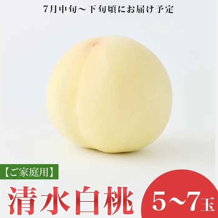 【ご家庭用】岡山白桃 清水白桃 5～7玉【2026年7月中旬頃から順次発送】