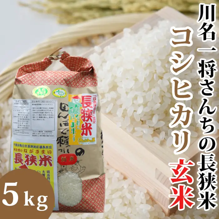 【令和7年産】川名一将さんちの長狭米　コシヒカリ5kg【玄米】[0015-0066]