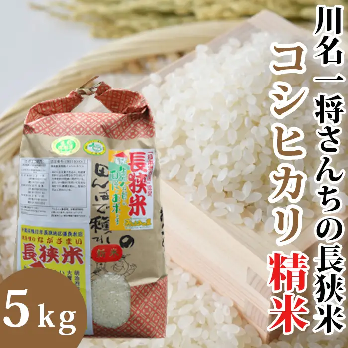 【令和7年産】川名一将さんちの長狭米　コシヒカリ5kg【精米】[0015-0066]