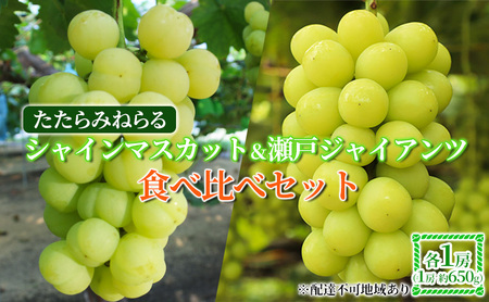 【2026年先行予約】 ぶどう 岡山県産 たたらみねらる シャインマスカット & 瀬戸ジャイアンツ 食べ比べセット 各1房(1房約650g) 《2026年9月中旬-10月中旬頃出荷》 ブドウ フルーツ 果物 数量限定