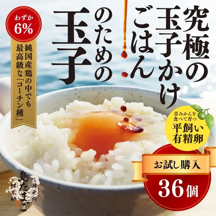 【お試し】 瀬戸内柑太郎 『島たまご』平飼い有精卵 36個(34個＋割れ補償2個)  平飼い 純国産鶏 コーチン種 卵 たまご 佐木島 三原 広島 017034