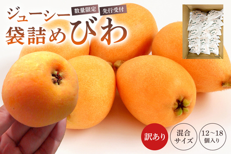 【先行受付 2026年5月中旬～6月中旬発送予定】【数量限定】生産者直送　ジューシー袋詰めびわ（訳あり混合サイズ12～18個） mi0057-0001