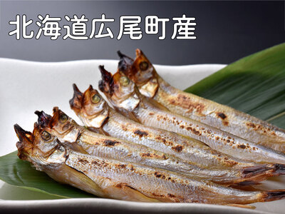 【広尾町産】干物専門店かぶらぎ水産の夫婦ししゃも１箱（オス10尾メス10尾）（J0033)