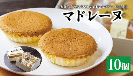 (10086) マドレーヌ 焼き菓子 セット 和菓子屋が作るマドレーヌ 贈り物 おすそ分け お菓子 長門市 