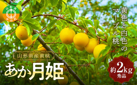 《2026年先行予約》山形県産 黄桃＜あか月姫＞ 約2kg 秀品 数量限定 【2026年8月発送開始】 ジューシー もも モモ 濃厚 フルーツ 果物 くだもの 季節限定 F4A-0381