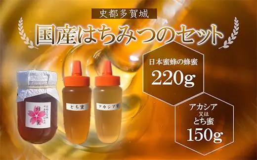 はちみつ 日本ミツバチ 史都多賀城日本みつばちのはちみつ220gとアカシア又はとち蜜150g　【04209-0169】 はちみつ ハチミツ 蜂蜜