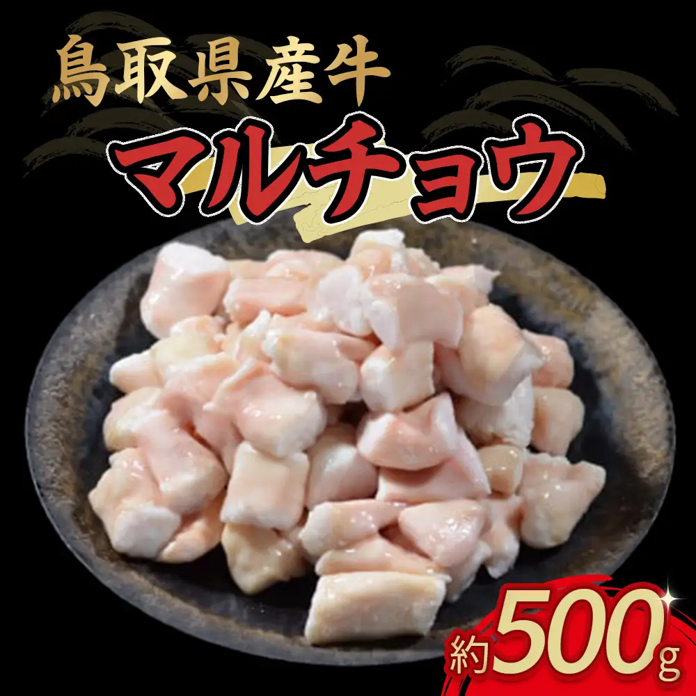 鳥取県産牛 マル腸 （500g）牛肉 焼肉 ホルモン マルチョウ もつ煮込み