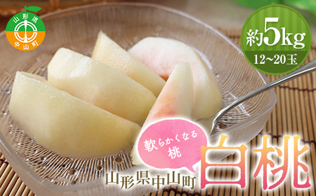 《2026年先行予約》山形県中山町産 白桃 秀品 5kg 品種おまかせ 軟らかくなる桃 12～20玉 もも モモ フルーツ 果物 くだもの 山形県産 F4A-0379