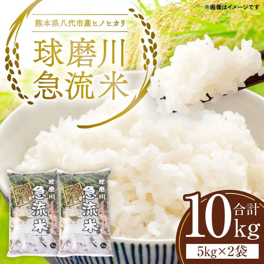 《令和7年産》熊本県八代市産 球磨川急流米 ヒノヒカリ 10kg 国産 白米 精米 お米 コメ 米 ライス ご飯 ごはん 白飯