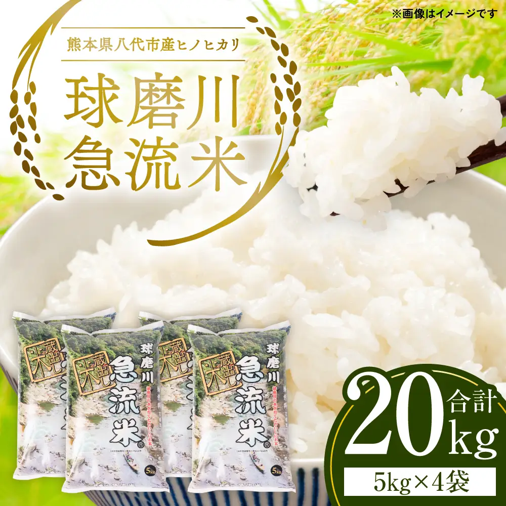 《令和7年産》熊本県八代市産 球磨川急流米 ヒノヒカリ 20kg 国産 白米 精米 お米 コメ 米 ライス ご飯 ごはん 白飯