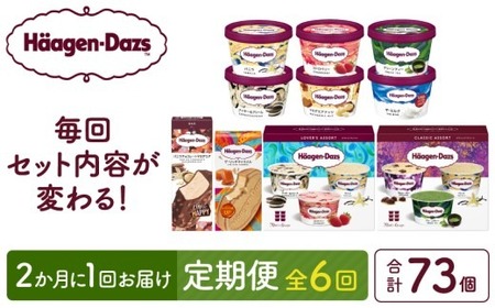 ＜全6回・隔月＞食べ比べ定期便！ハーゲンダッツ人気 セット アイス スイーツ デザート_H0016-178