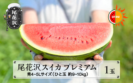 数量限定 尾花沢スイカ 4~5Lサイズ(約9~10kg)×1玉 プレミアム 令和8年産  ns-su45u1