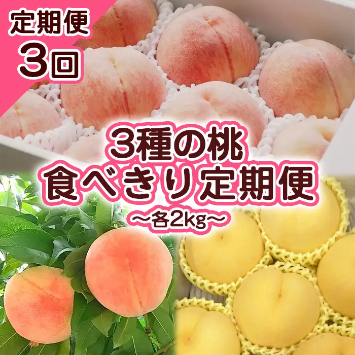 【定期便3回】3種の桃　食べきり定期便～各2kg～ 【令和8年産先行予約】FS23-706 くだもの 果物 フルーツ 山形 山形県 山形市 2026年産