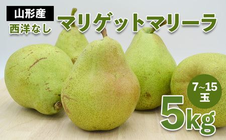 山形市産 西洋なし(マリゲットマリーラ) 秀 5kg(7玉～15玉)【令和8年産先行予約】FS23-729 くだもの 果物 フルーツ 山形 山形県 山形市 2026年産