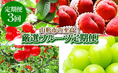【定期便3回】山形市の至高！山形市厳選フルーツ定期便【令和8年産先行予約】FS24-587 くだもの 果物 フルーツ 山形 山形県 山形市 2026年産