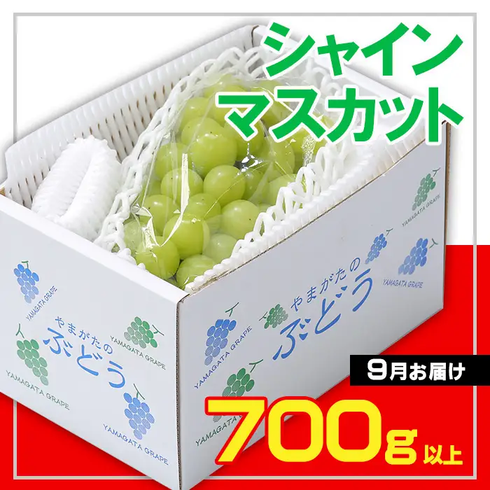 ☆フルーツ王国山形☆シャインマスカット 秀品 700g以上(1～2房)[9月お届け] 【令和8年産先行予約】FS23-733 くだもの 果物 フルーツ 山形 山形県 山形市 2026年産