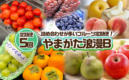 【定期便5回】やまがた浪漫B [さくらんぼ・デラウェアとブルーベリー・白桃と和梨・シャインマスカットと柿・サンふじとラ・フランス] FZ24-929