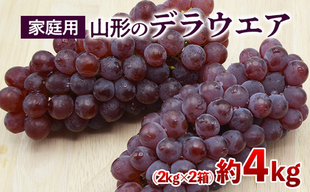【ご家庭用】山形のデラウエア M～3L 約4kg [粒サイズおまかせ] 【令和8年産先行予約】FS24-570 くだもの 果物 フルーツ 山形 山形県 山形市 2026年産