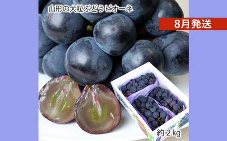 山形のぶどう ピオーネ 秀品 約2kg(2～5房) [8月発送]【令和8年産先行予約】FS24-650 くだもの 果物 フルーツ 山形 山形県 山形市 2026年産