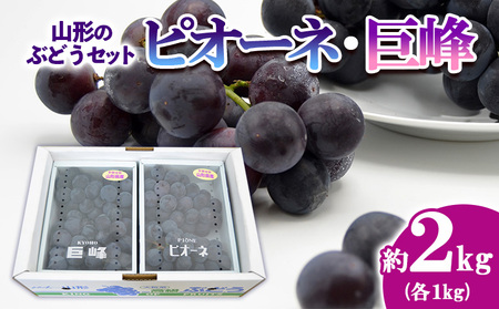 山形のぶどうセット 秀品 約2kg(ピオーネ約1kg2房前後・巨峰約1kg2房前後)[9月中旬～10月中旬お届け]【令和8年産先行予約】FS24-572 くだもの 果物 フルーツ 山形 山形県 山形市 2026年産
