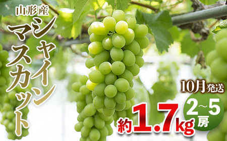 やまがたのぶどう シャインマスカット 秀品 約1.7kg(2～5房程度) [10月発送]　 【令和8年産先行予約】FS23-755 くだもの 果物 フルーツ 山形 山形県 山形市 2026年産
