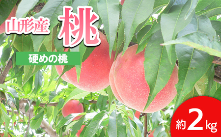 山形の桃(かための桃) 約2kg(4～9玉） 【令和8年産先行予約】FS24-657 くだもの 果物 フルーツ 山形 山形県 山形市 2026年産