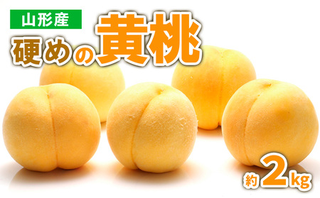 山形産 硬めの黄桃　約２kg（4～9玉)秀品 【令和8年産先行予約】FS23-778 くだもの 果物 フルーツ 山形 山形県 山形市 2026年産
