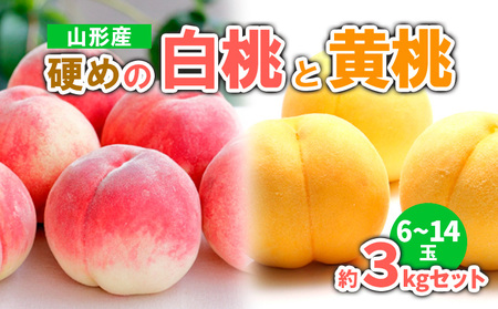 山形産 硬めの白桃と黄桃　約３kgセット（6～14玉)　秀品  【令和8年産先行予約】FS23-779 くだもの 果物 フルーツ 山形 山形県 山形市 2026年産
