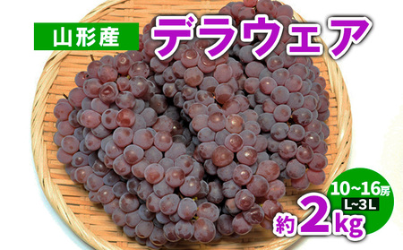 山形産 デラウェア 約2kg(10～16房) L～3L【令和8年産先行予約】FS23-782 くだもの 果物 フルーツ 山形 山形県 山形市 2026年産