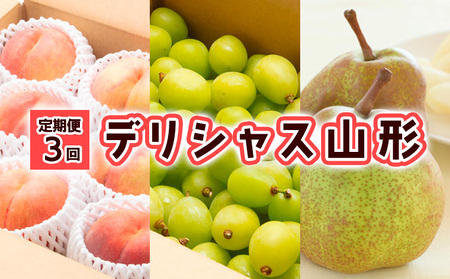 【定期便3回】デリシャス山形【令和8年産先行予約】FU23-799 くだもの 果物 フルーツ 山形 山形県 山形市 2026年産