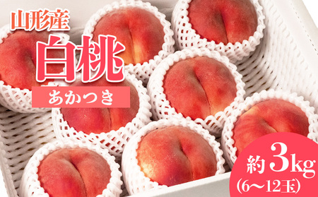 やまがたの桃(白桃) あかつき 秀品 約3kg(6～12玉程度) 【令和8年産先行予約】FS23-810 くだもの 果物 フルーツ 山形 山形県 山形市 2026年産