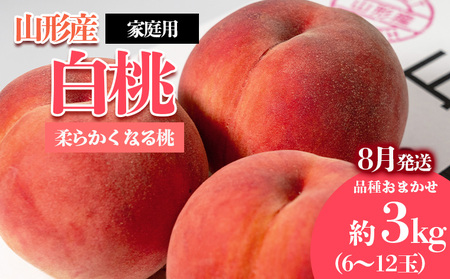 [ご家庭用]やまがたの桃 (白桃) 品種お任せ「柔らかくなる桃」8月 優品 約3kg(6～12玉程度) 【令和8年産先行予約】FS23-811 くだもの 果物 フルーツ 山形 山形県 山形市 2026年産