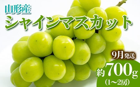 やまがたのぶどう シャインマスカット 9月 秀品 約700g(1～2房程度) 【令和8年産先行予約】FS23-816 くだもの 果物 フルーツ 山形 山形県 山形市 2026年産