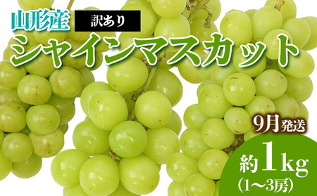 [訳あり]やまがたのぶどう シャインマスカット 9月 優品 約1kg(1～3房程度) 【令和8年産先行予約】FS23-818 くだもの 果物 フルーツ 山形 山形県 山形市 2026年産