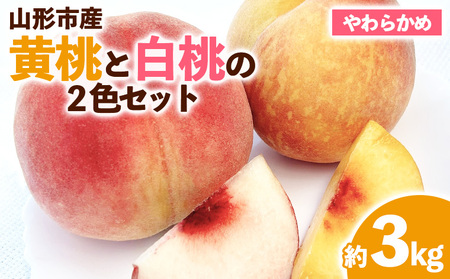 山形市産 黄桃と白桃（柔らかめ）の2色セット 秀 3kg 【令和8年産先行予約】FS23-822 くだもの 果物 フルーツ 山形 山形県 山形市 2026年産