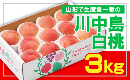 ☆フルーツ王国山形☆ 白桃 秀品3kg [山形で生産量1番の 川中島白桃 ]【令和8年産先行予約】FS23-825 くだもの 果物 フルーツ 山形 山形県 山形市 2026年産