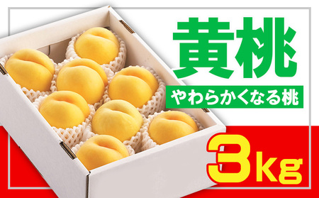 ☆フルーツ王国山形☆黄桃秀品 3kg [やわらかくなる桃]【令和8年産先行予約】FS23-828 くだもの 果物 フルーツ 山形 山形県 山形市 2026年産