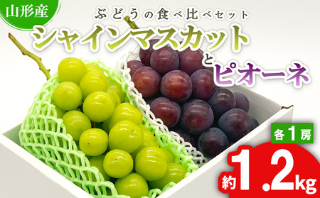 ★ぶどうの食べ比べセット★シャインマスカットとピオーネ 約1.2kg（各1房) 秀品 期間限定【令和8年産先行予約】FS24-526 くだもの 果物 フルーツ 山形 山形県 山形市 2026年産