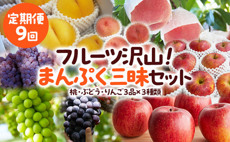 【定期便9回】フルーツ沢山！まんぷく三昧セット (桃・ぶどう・りんご 3品目×3種類) 【令和8年産先行予約】FU23-849 くだもの 果物 フルーツ 山形 山形県 山形市 2026年産
