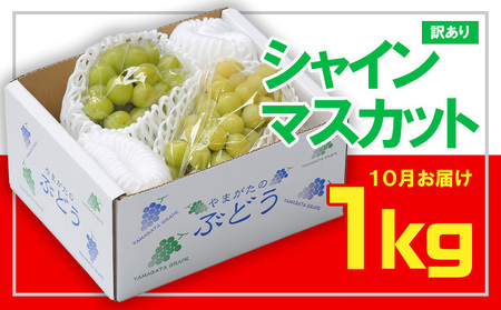 ☆フルーツ王国山形☆[訳あり] シャインマスカット1kg (1～3房)[10月お届け] 【令和8年産先行予約】FS23-854 くだもの 果物 フルーツ 山形 山形県 山形市 2026年産