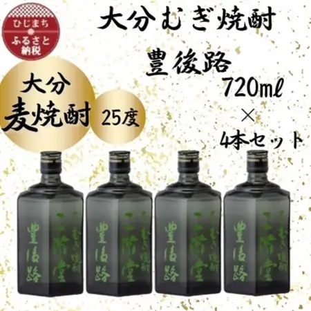 大分むぎ焼酎　二階堂豊後路25度(720ml)4本セット_大分むぎ焼酎 二階堂 麦焼酎 焼酎 酒 酒セット 焼酎セット  まとめ買い_【1455684】