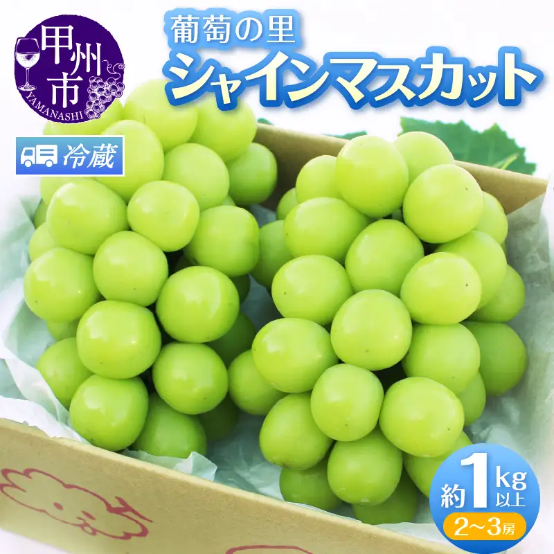 葡萄の里 シャインマスカット 2～3房（1kg以上）【2026年発送】（HK）B12-440 シャインマスカット フルーツ