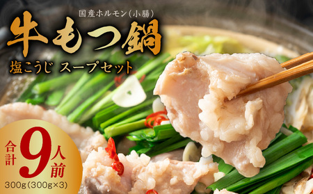 牛もつ鍋セット 9人前