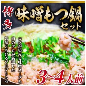 博多 味噌 もつ鍋 セット 3～4人前