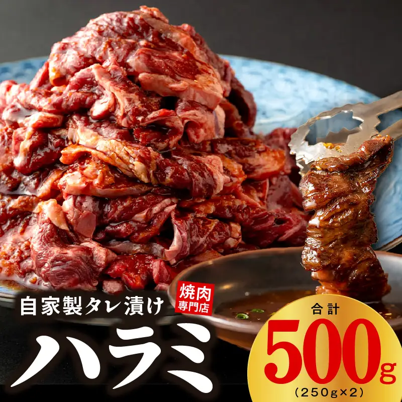 焼き肉専門店 自家製タレ漬け ハラミ 合計500g（250g×2）