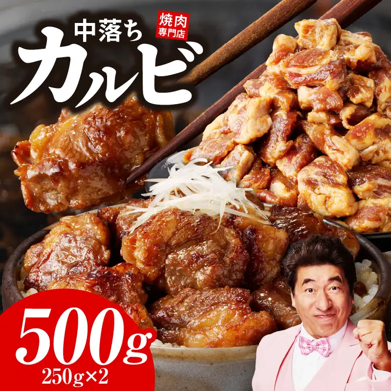 焼き肉専門店 自家製タレ漬け 中落ちカルビ 合計500g（250g×2）