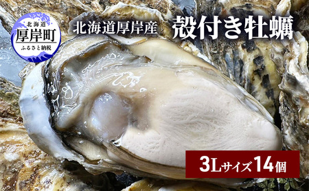 北海道 厚岸産 ブランド牡蠣 マルえもん 殻付き 牡蠣 3Lサイズ 14個 【光輝】 [ 魚貝類 生牡蠣 海鮮 海の幸 生食用牡蠣 生食用 生食用殻付き牡蠣 濃厚 甘み  オイスター ]  